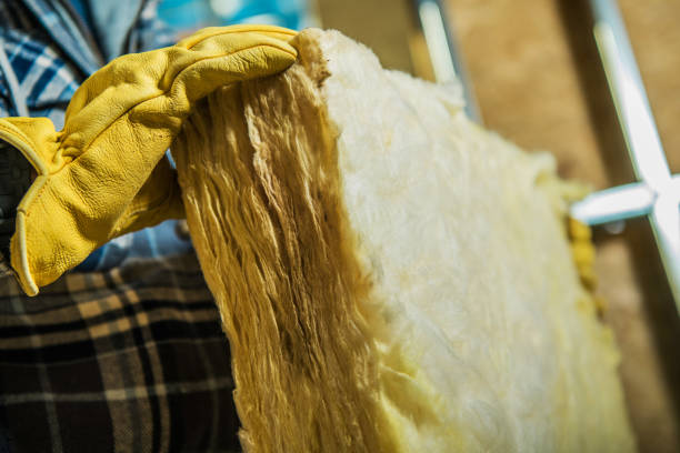 Best Insulation Maintenance and Repair in Walce Ridge, LA